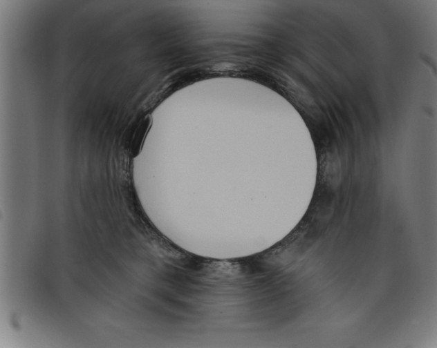 X0000098050421200804251108