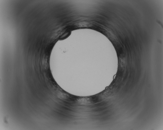 X0000098050422200804251108