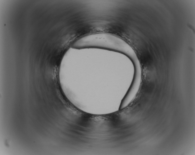 X0000098050423200804251108