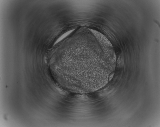 X0000098050424200804251108