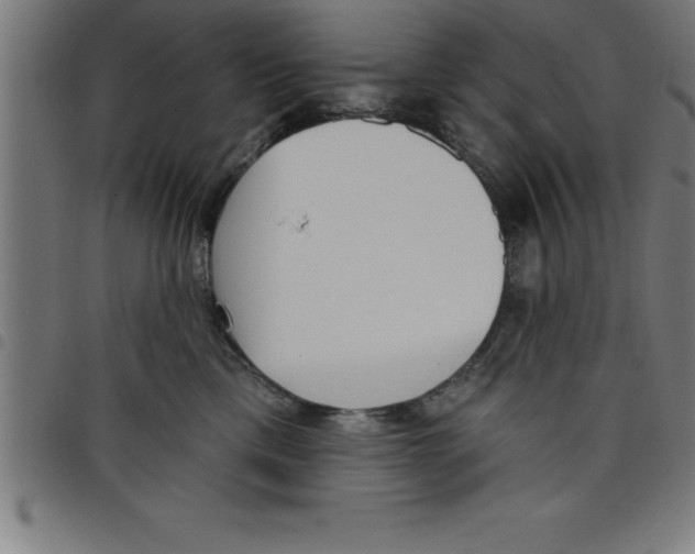 X0000098050425200804251108