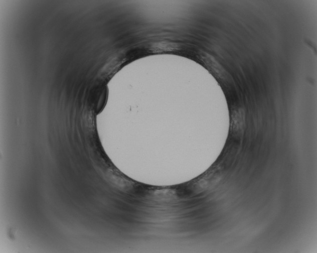 X0000098050426200804251108