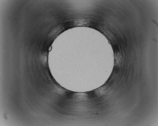 X0000098050427200804251108