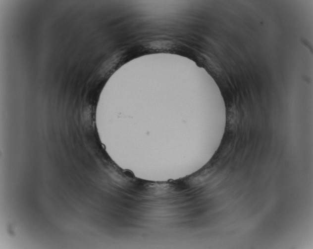 X0000098050428200804251108