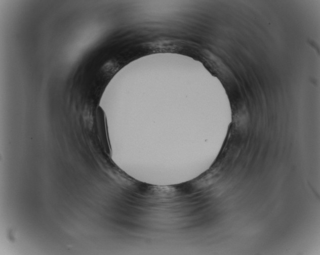 X0000098050429200804251108