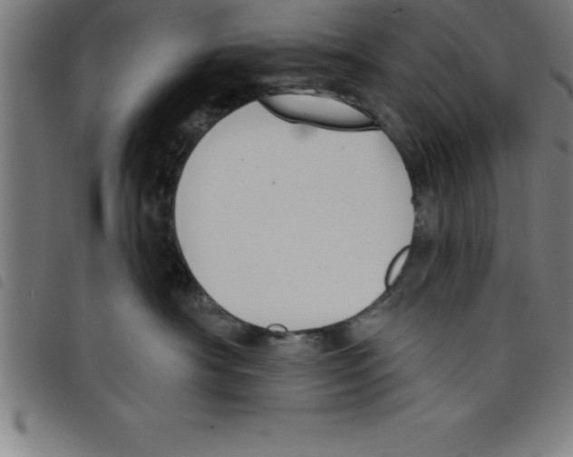 X0000098050430200804251108