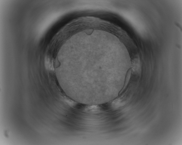 X0000098050431200804251108