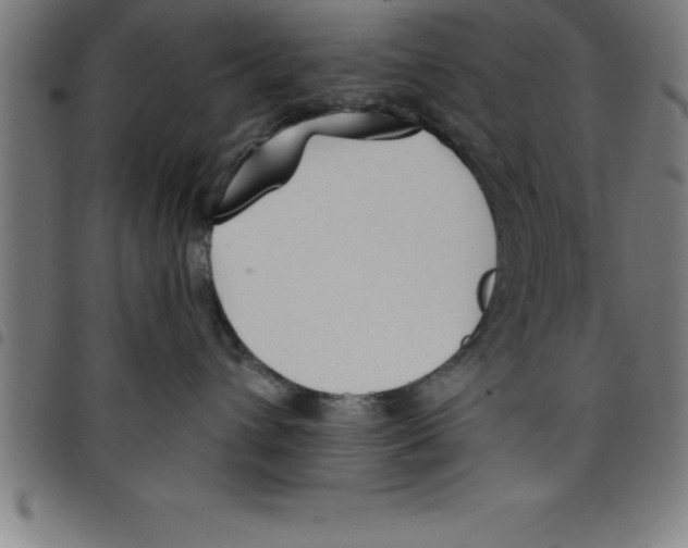 X0000098050432200804251108