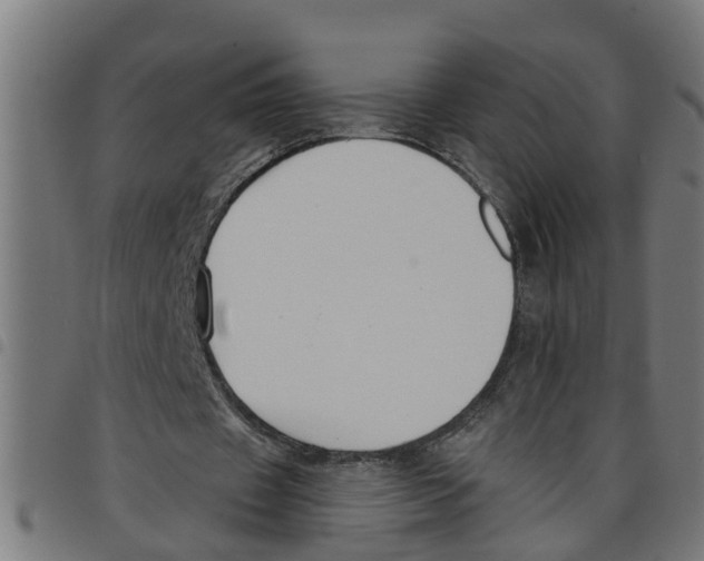 X0000098050433200804251107