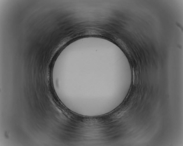 X0000098050435200804251107