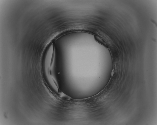 X0000098050436200804251107