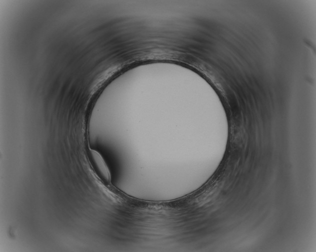 X0000098050437200804251107