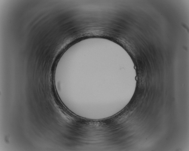 X0000098050439200804251107