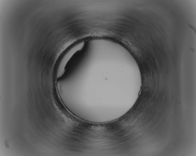 X0000098050440200804251107