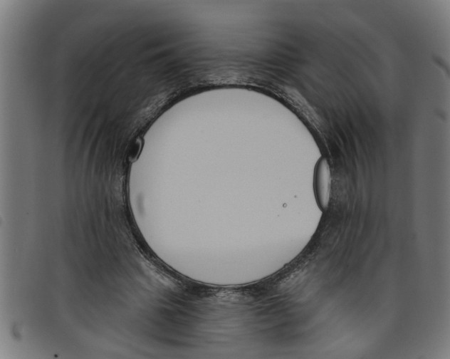 X0000098050441200804251107