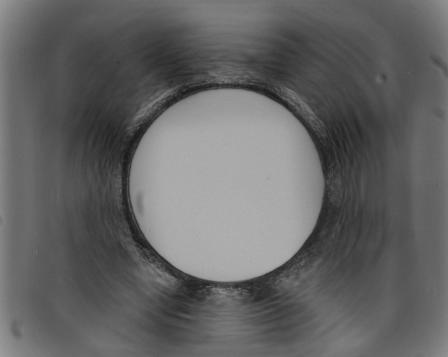 X0000098050442200804251108