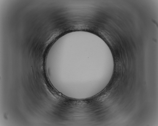 X0000098050443200804251108