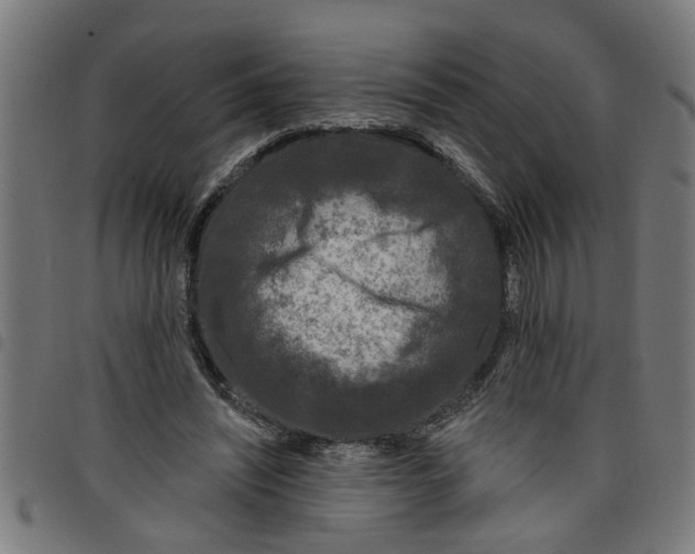 X0000098050444200804251108