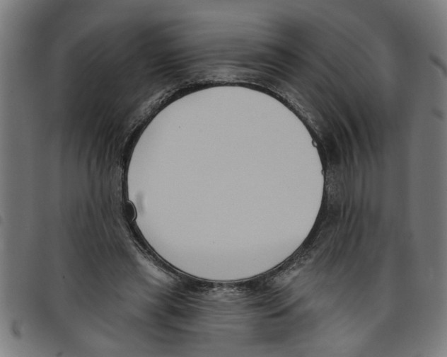 X0000098050445200804251108