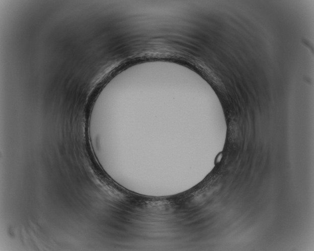 X0000098050446200804251108