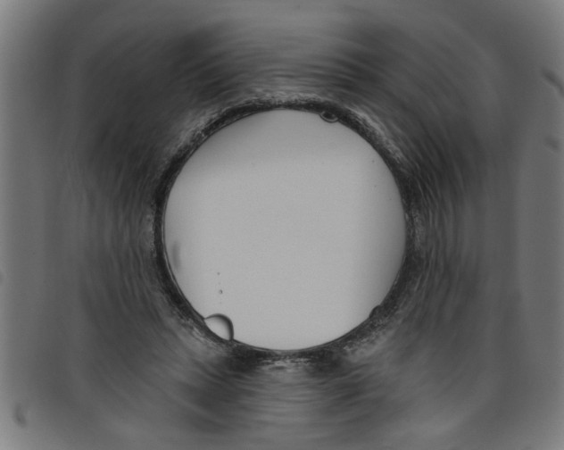 X0000098050447200804251108