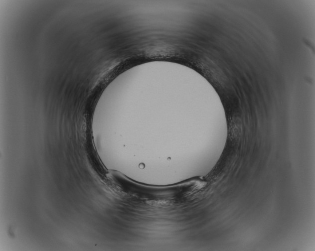 X0000098050448200804251108