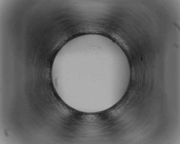 X0000098050449200804251108