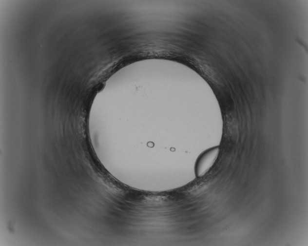 X0000098050450200804251108