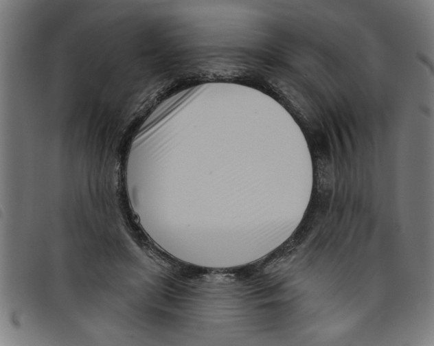 X0000098050451200804251108