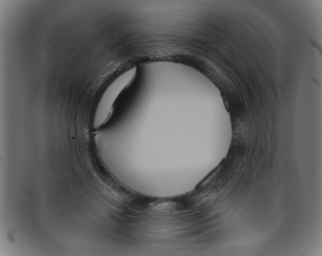 X0000098050452200804251108