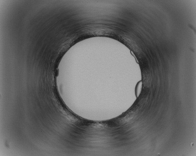 X0000098050453200804251108