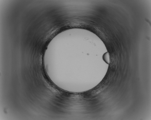 X0000098050454200804251108