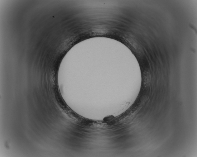 X0000098050455200804251108