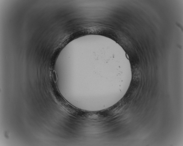 X0000098050456200804251108