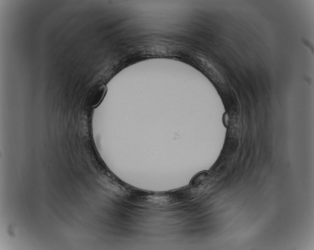 X0000098050457200804251108