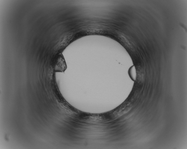 X0000098050458200804251108