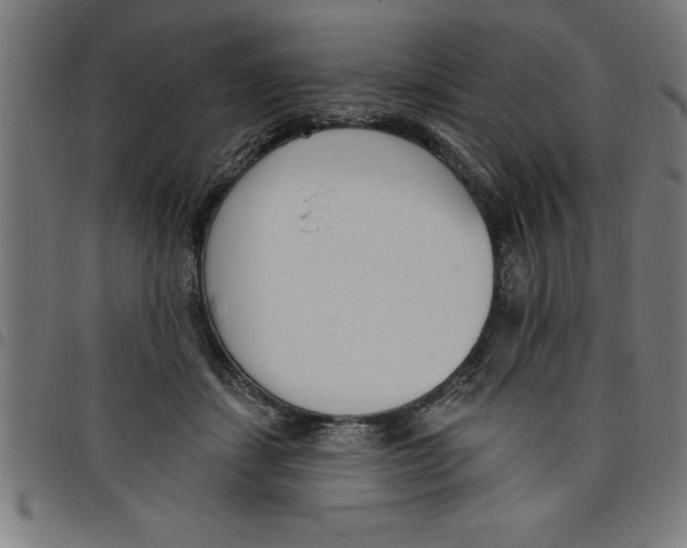 X0000098050459200804251108