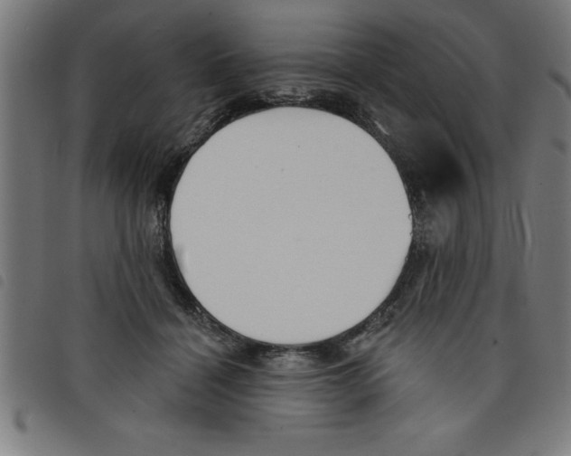 X0000098050460200804251108