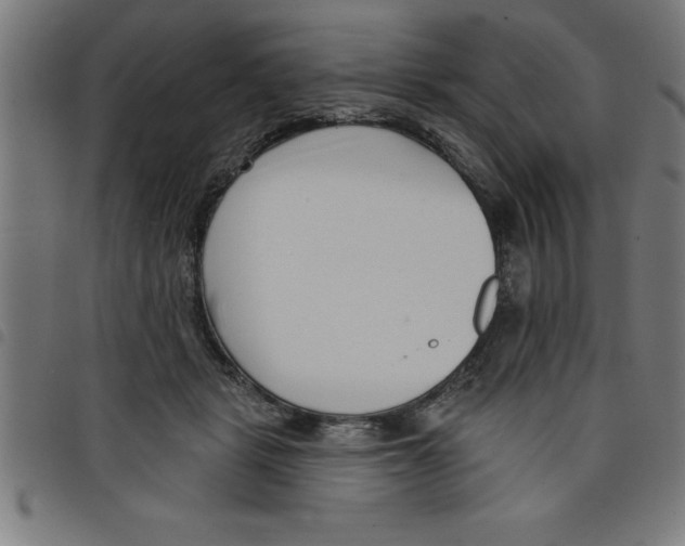 X0000098050461200804251108