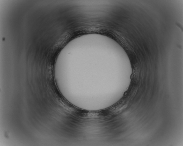 X0000098050462200804251108