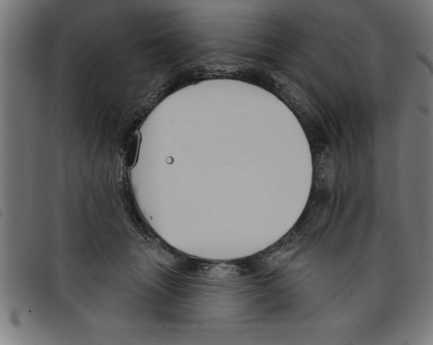 X0000098050463200804251108