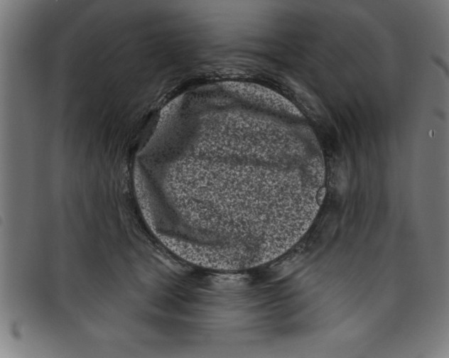 X0000098050465200804251108