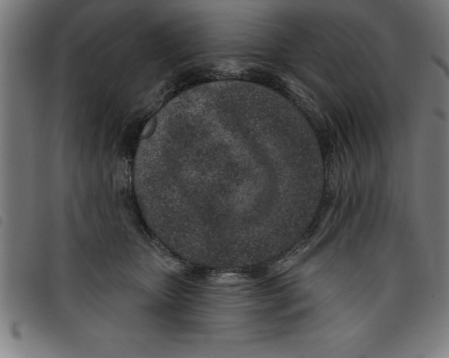 X0000098050467200804251108