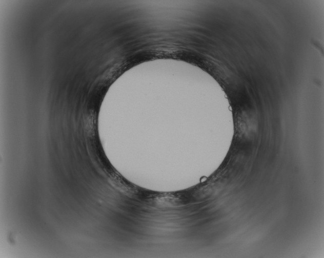 X0000098050468200804251108