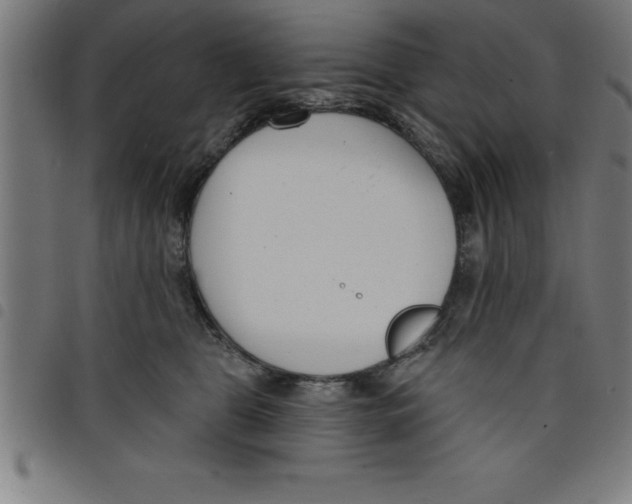 X0000098050469200804251108