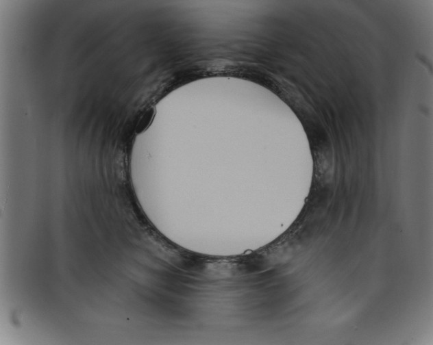 X0000098050470200804251108