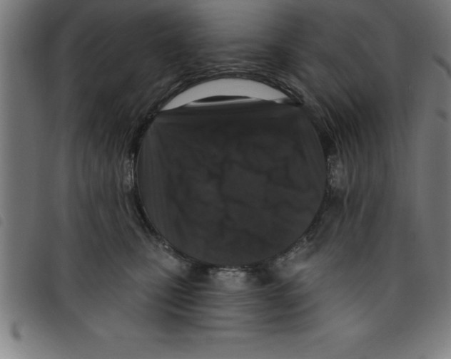 X0000098050471200804251108