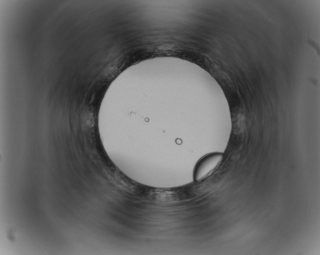 X0000098050472200804251108