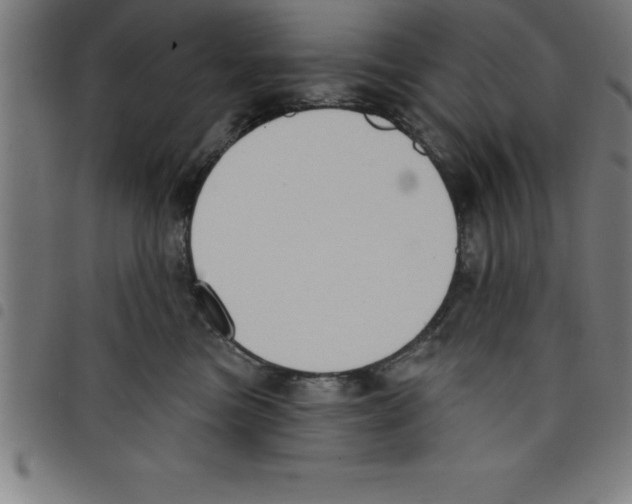 X0000098050473200804251108