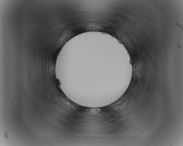 X0000098050474200804251108